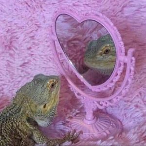 Meet your Posher, Lindsey